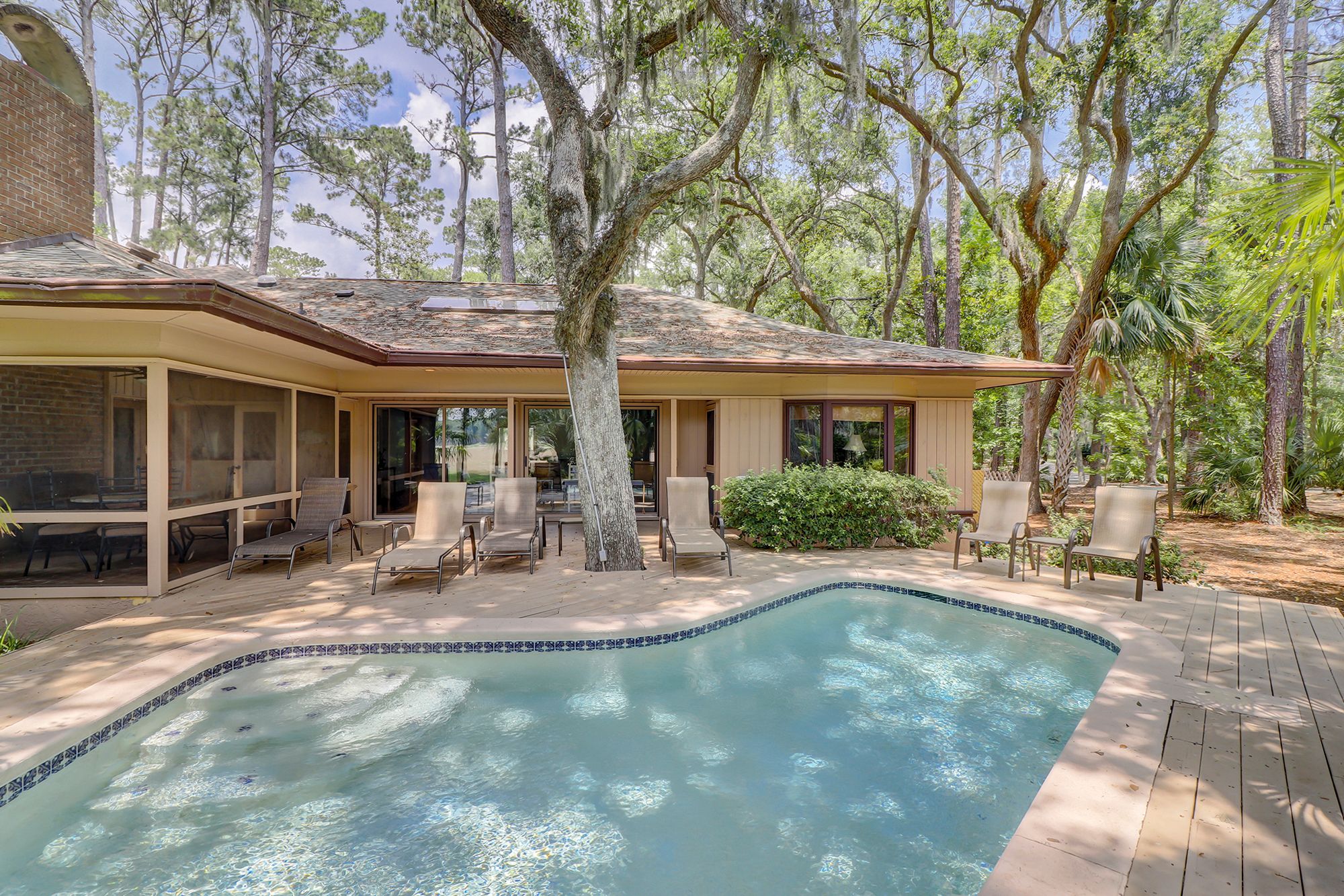 Willow Oak 2