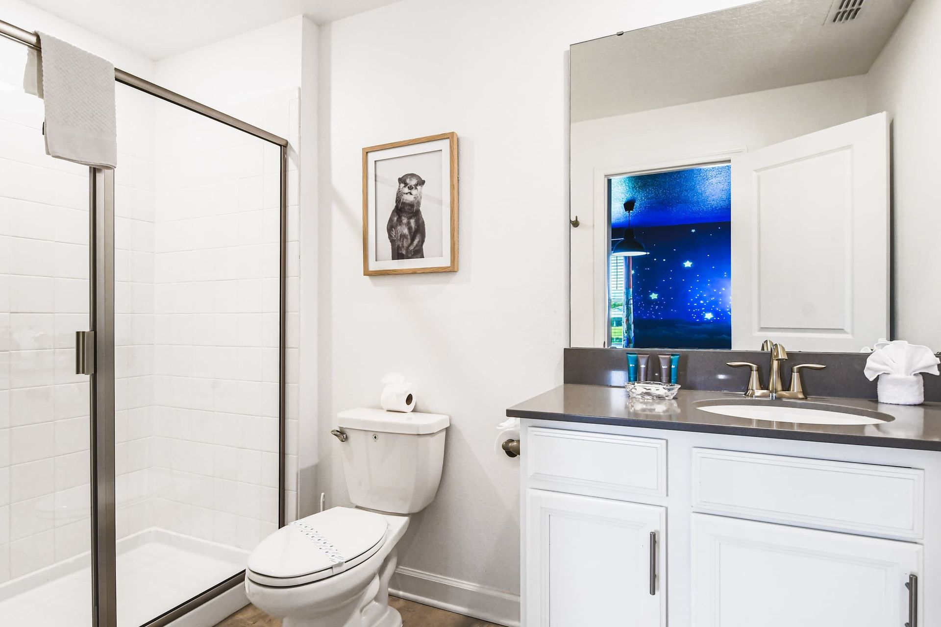 Bright bathroom with walk-in shower, sleek vanity, large mirror and fun decor touches
