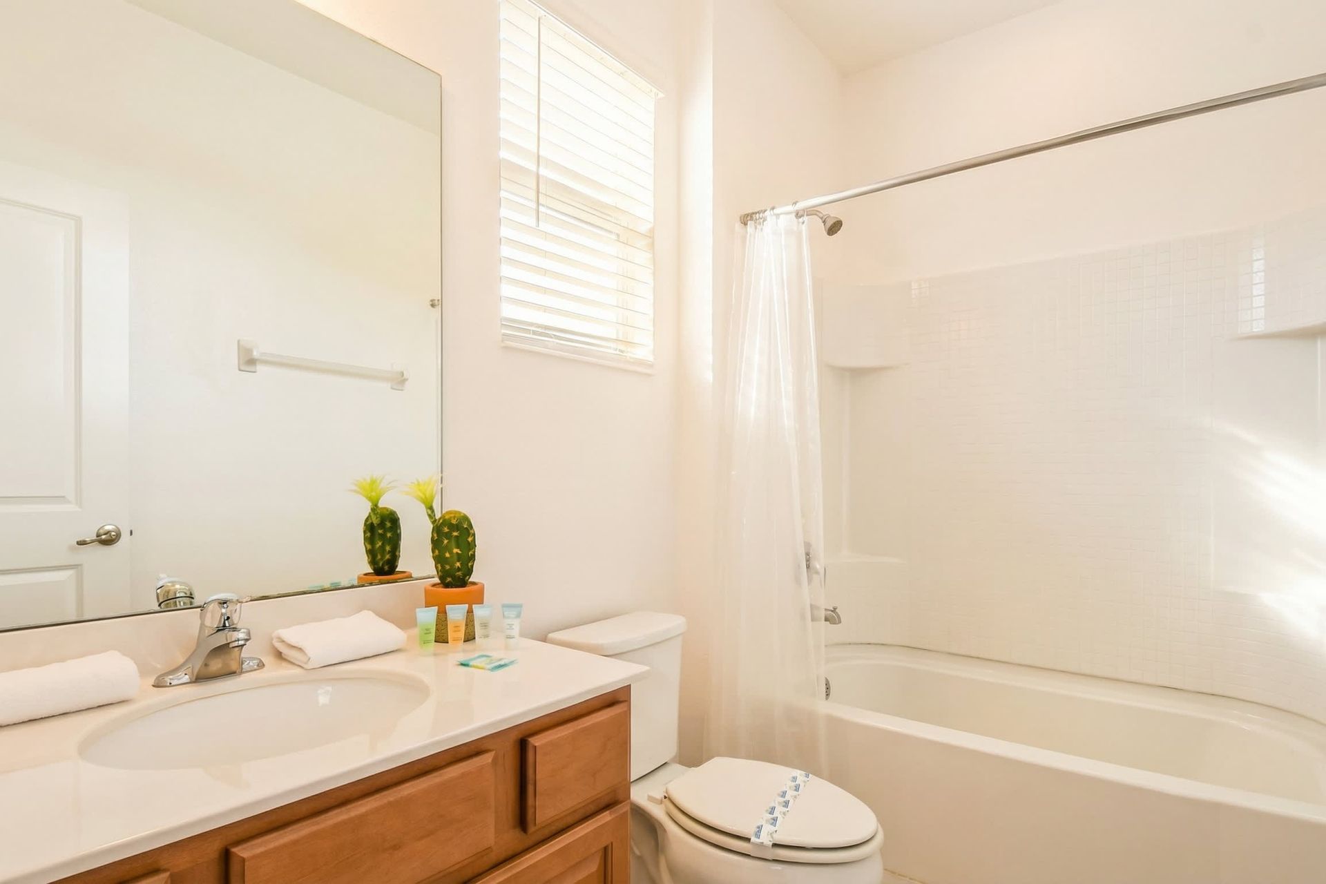 Bright bathroom with a full tub, modern vanity, and fresh décor