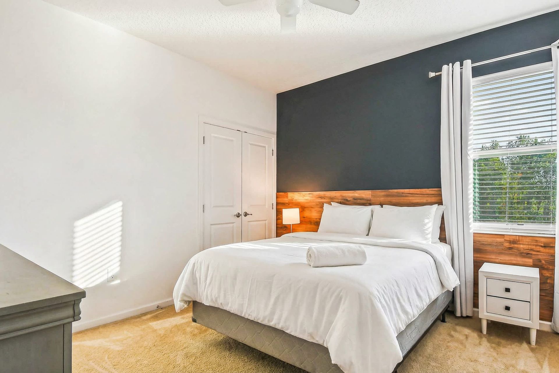 Modern single bedroom with bold navy accent wall, wood trim, and natural light.
