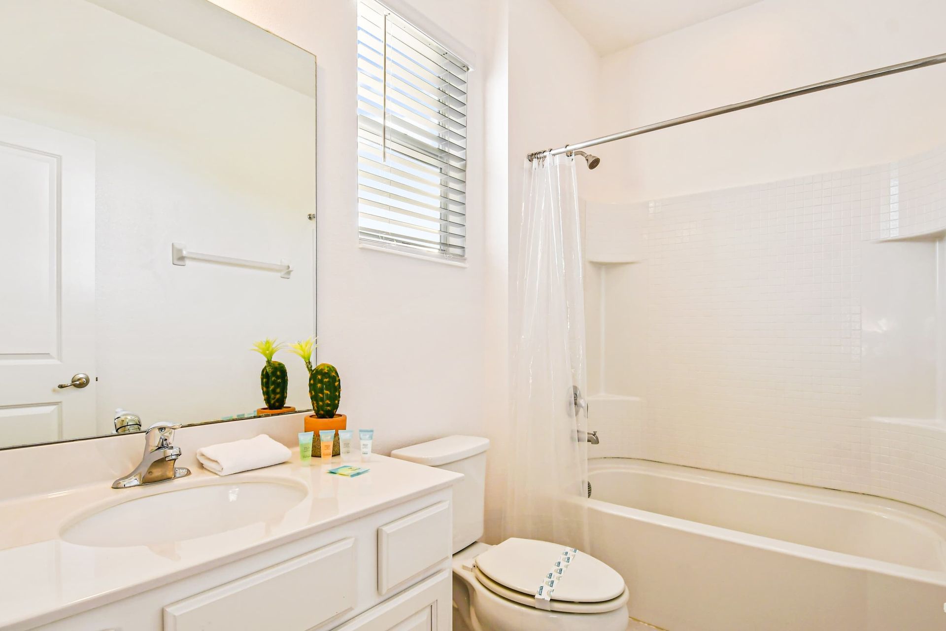 Bright bathroom with a full tub, modern vanity, and fresh décor