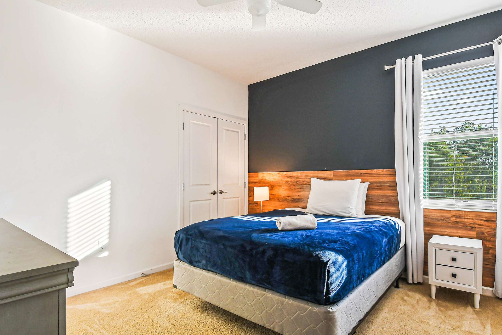 Modern single bedroom with bold navy accent wall, wood trim, and natural light.
