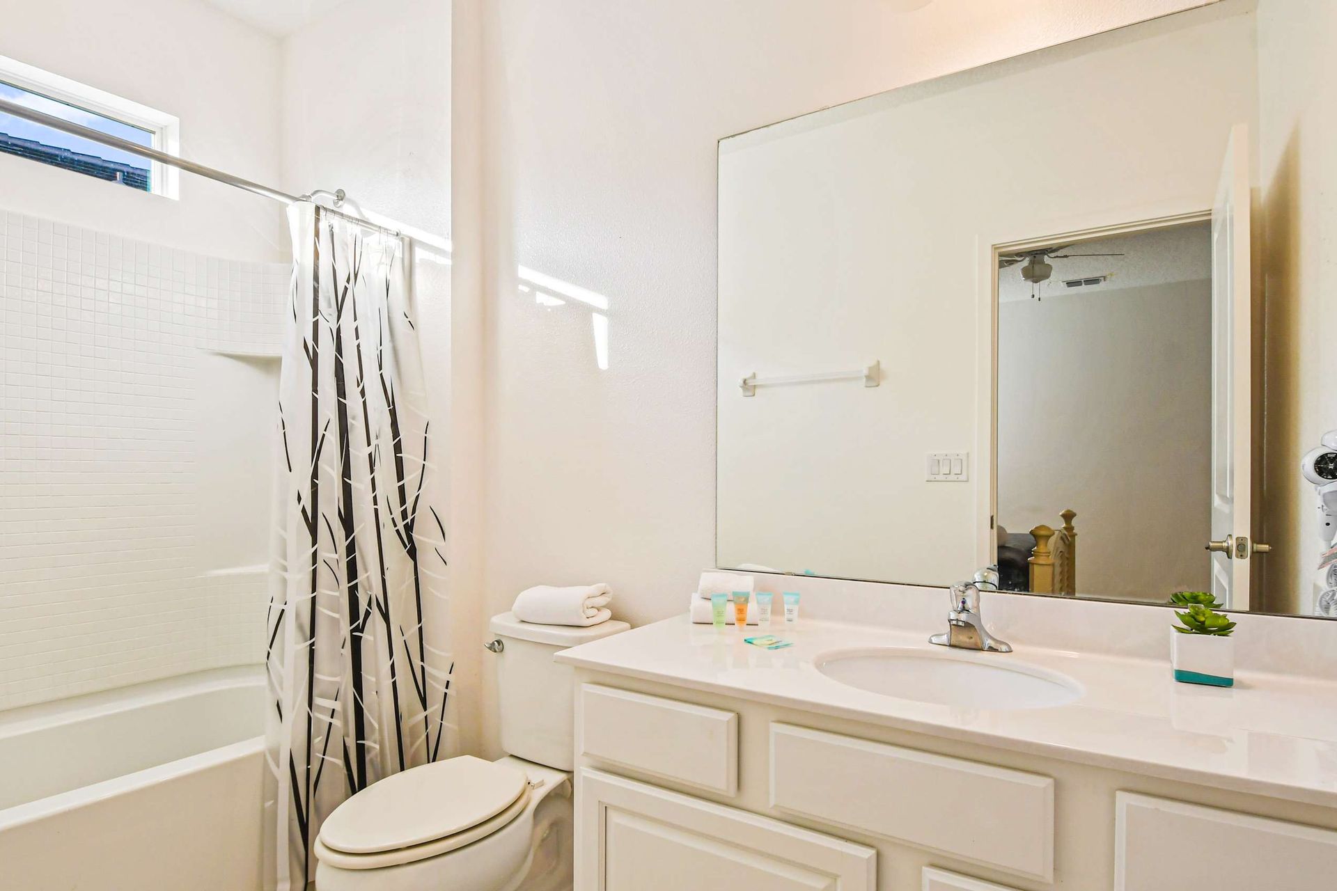 Bright bathroom with a full tub, modern vanity, and fresh décor