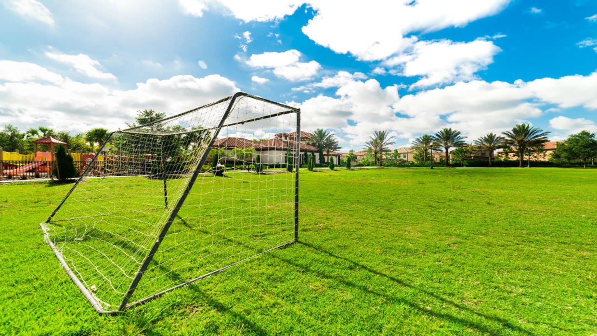 Kick the ball and aim the goal