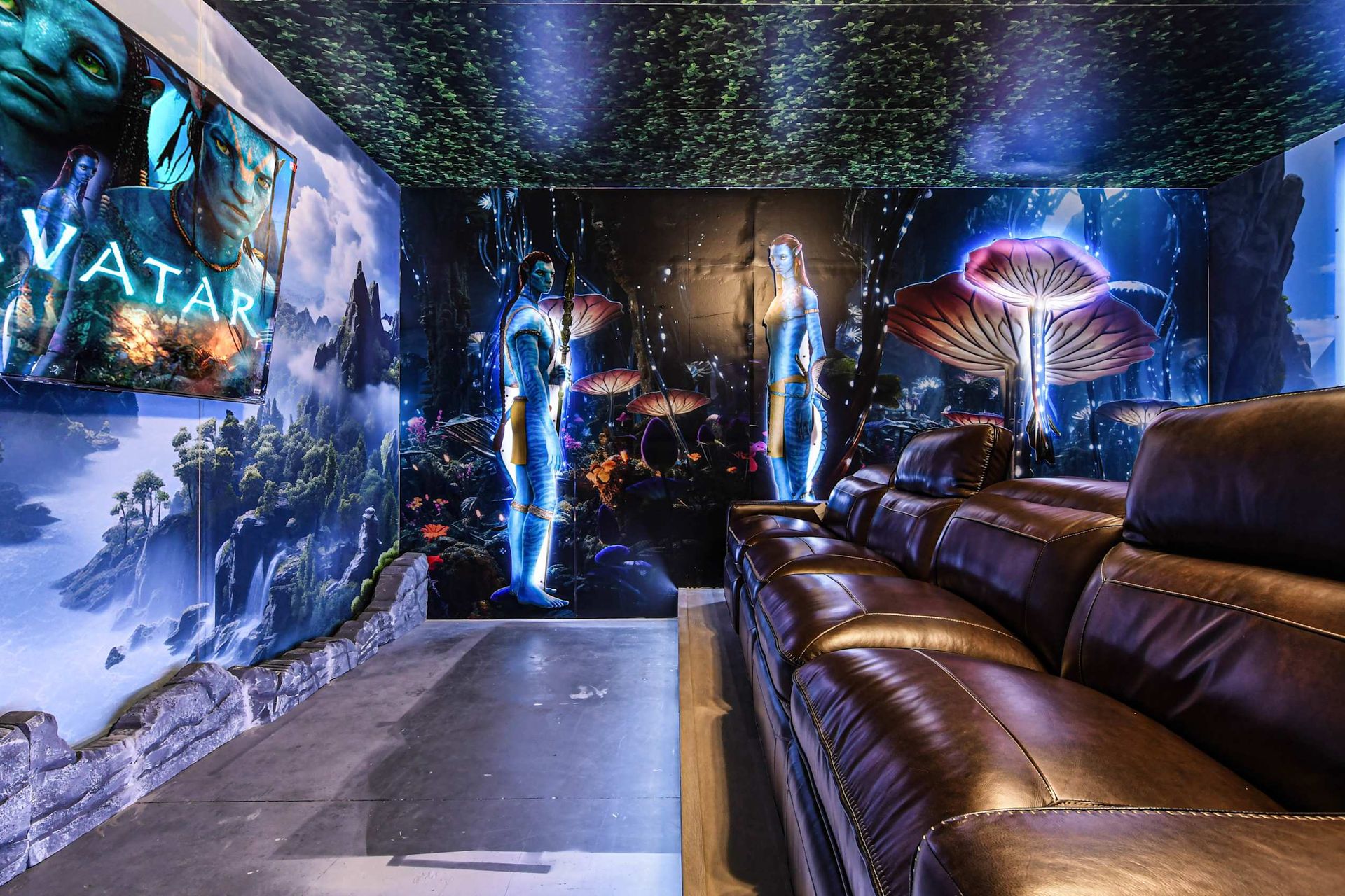 Immersive Avatar-themed home theater – explore Pandora in style!