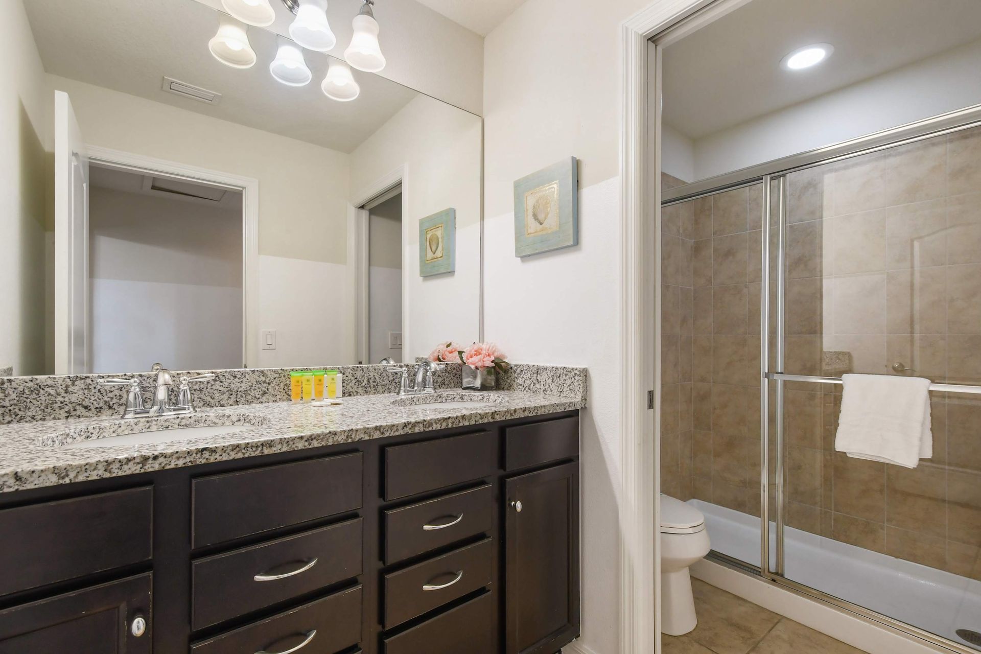 Bright bathroom with granite double vanity and walk-in shower.