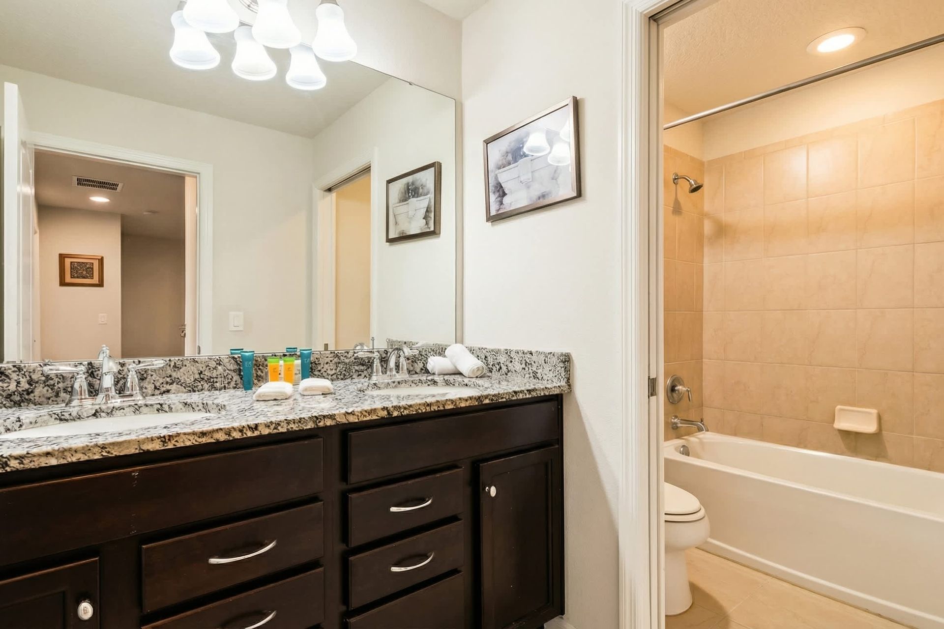 Elegant bathroom with granite double vanity, dark cabinets, and a connected tiled shower-tub combo.