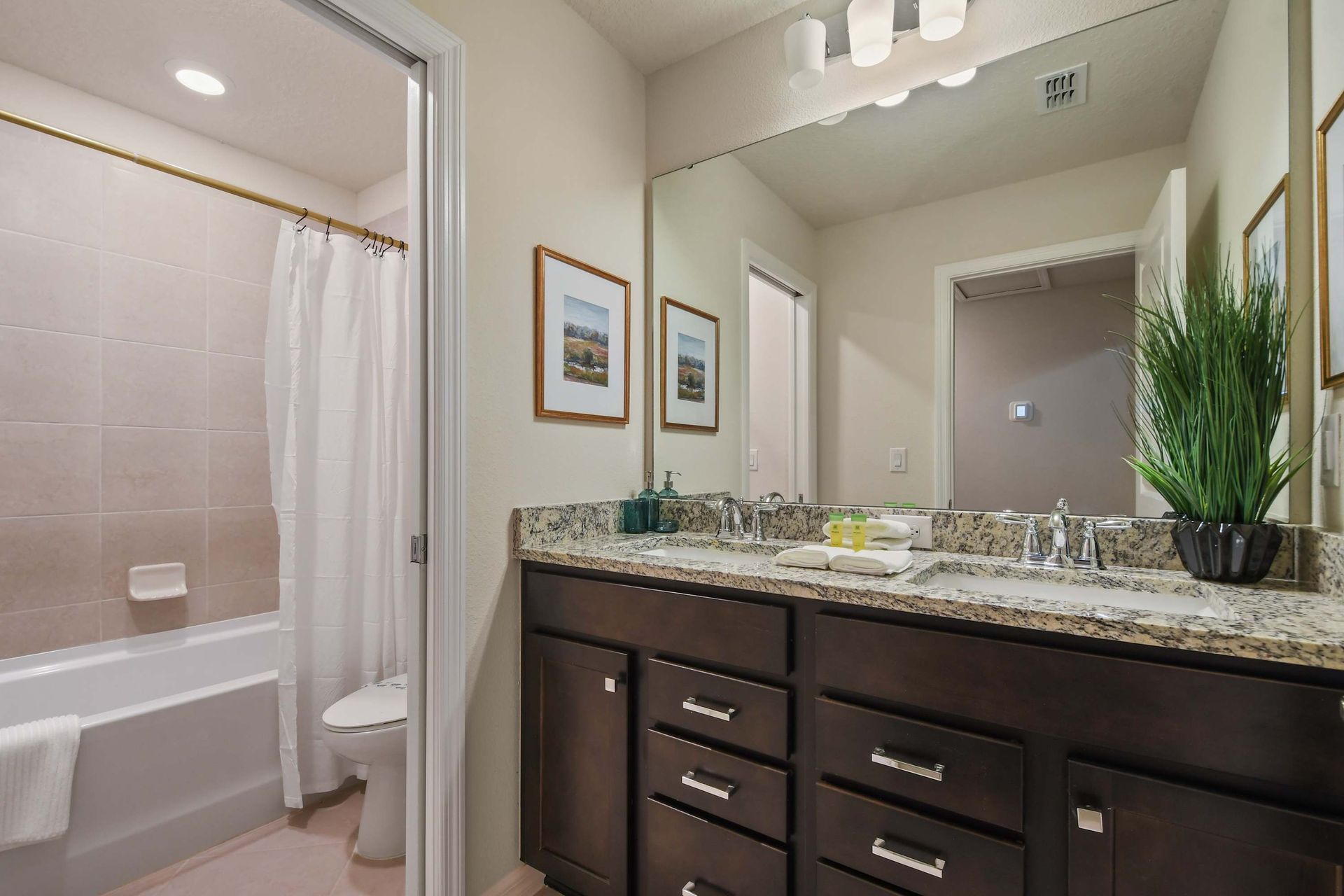 Elegant bathroom with granite vanity, walk-in shower, and art decor.