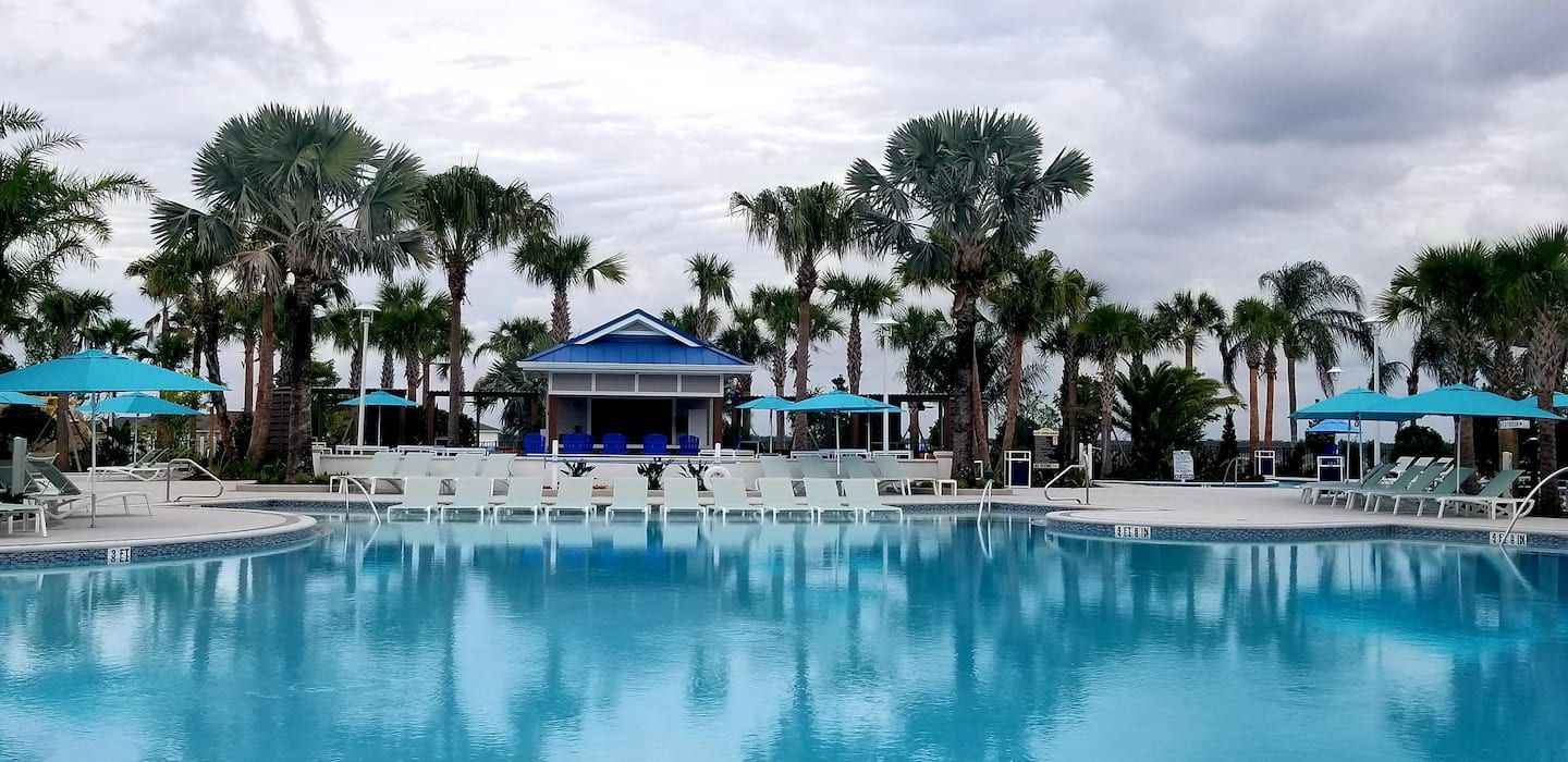 Resort Pool: Tropical oasis surrounded by palm trees.