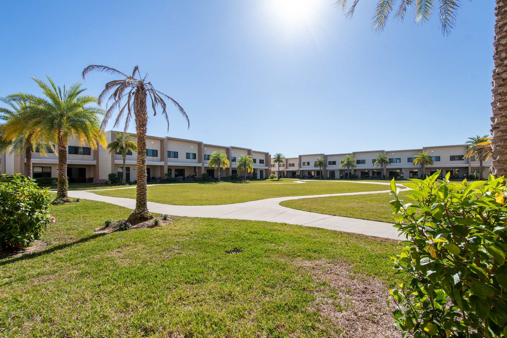 Sunny shared courtyard with palm trees, green lawn, walking paths, and townhome views.