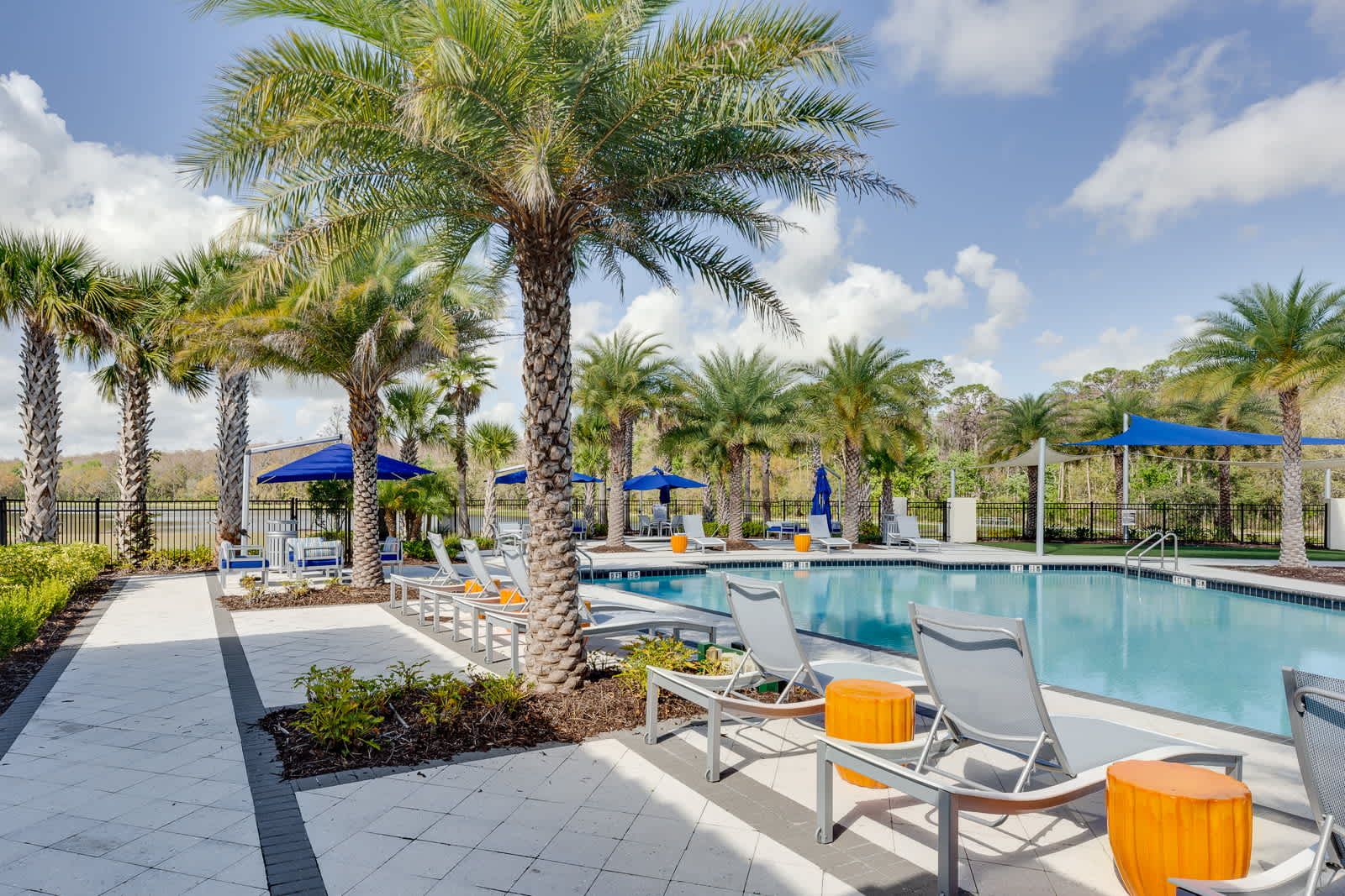 Relax poolside under palms, stylish loungers, serene tropical vacation escape.
