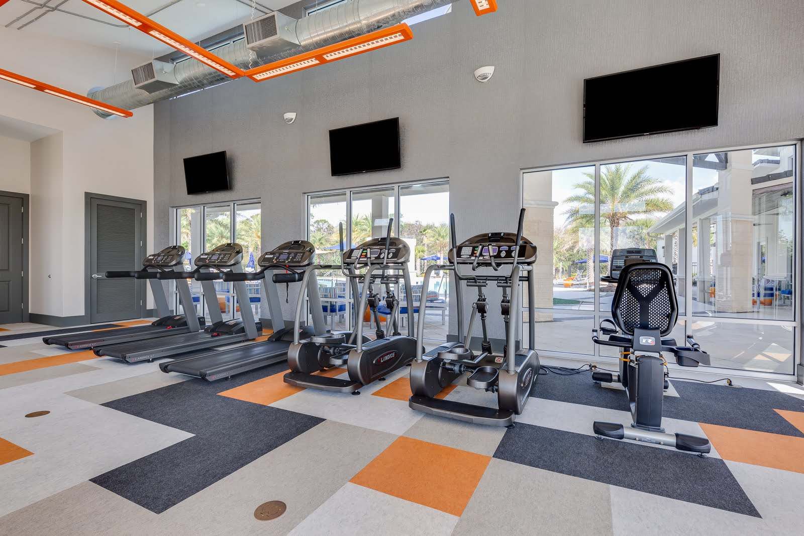 Modern fitness center, premium equipment, vibrant design, scenic palm views.
