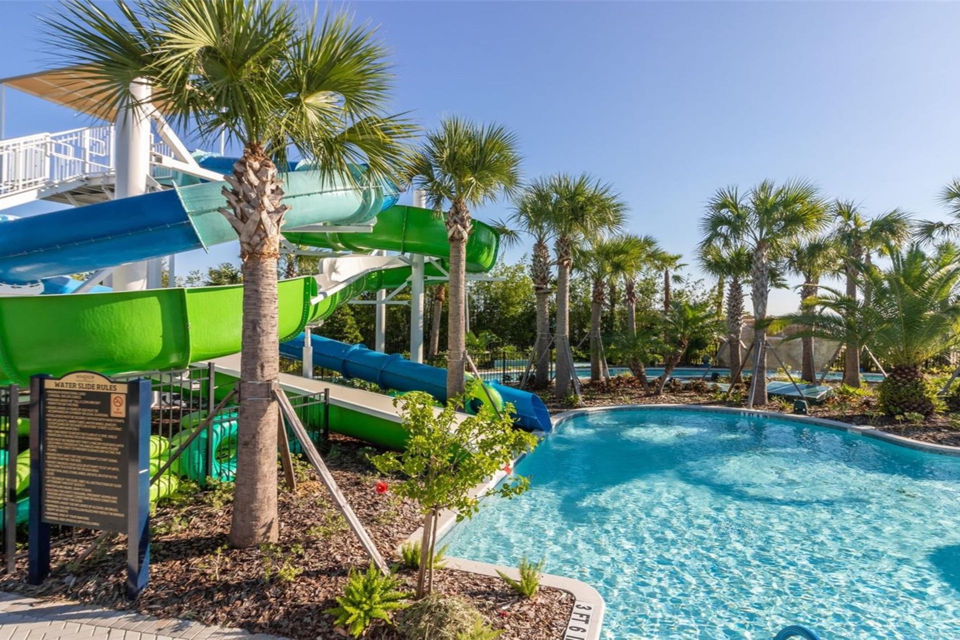 Exciting water slides surrounded by palm trees and crystal-clear pool water.