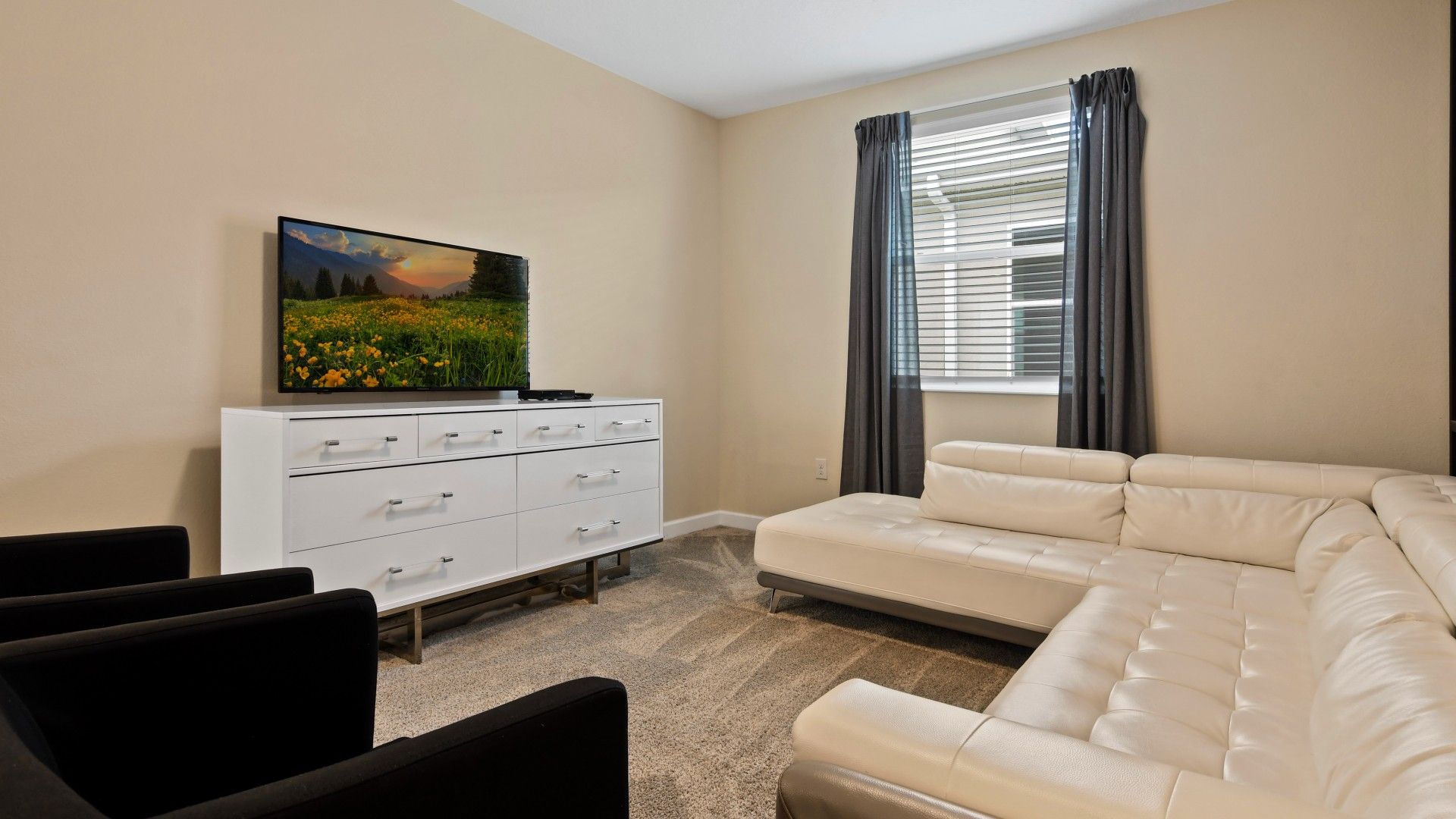 Cozy entertainment room with plush seating, a sleek TV setup, and a relaxing vibe