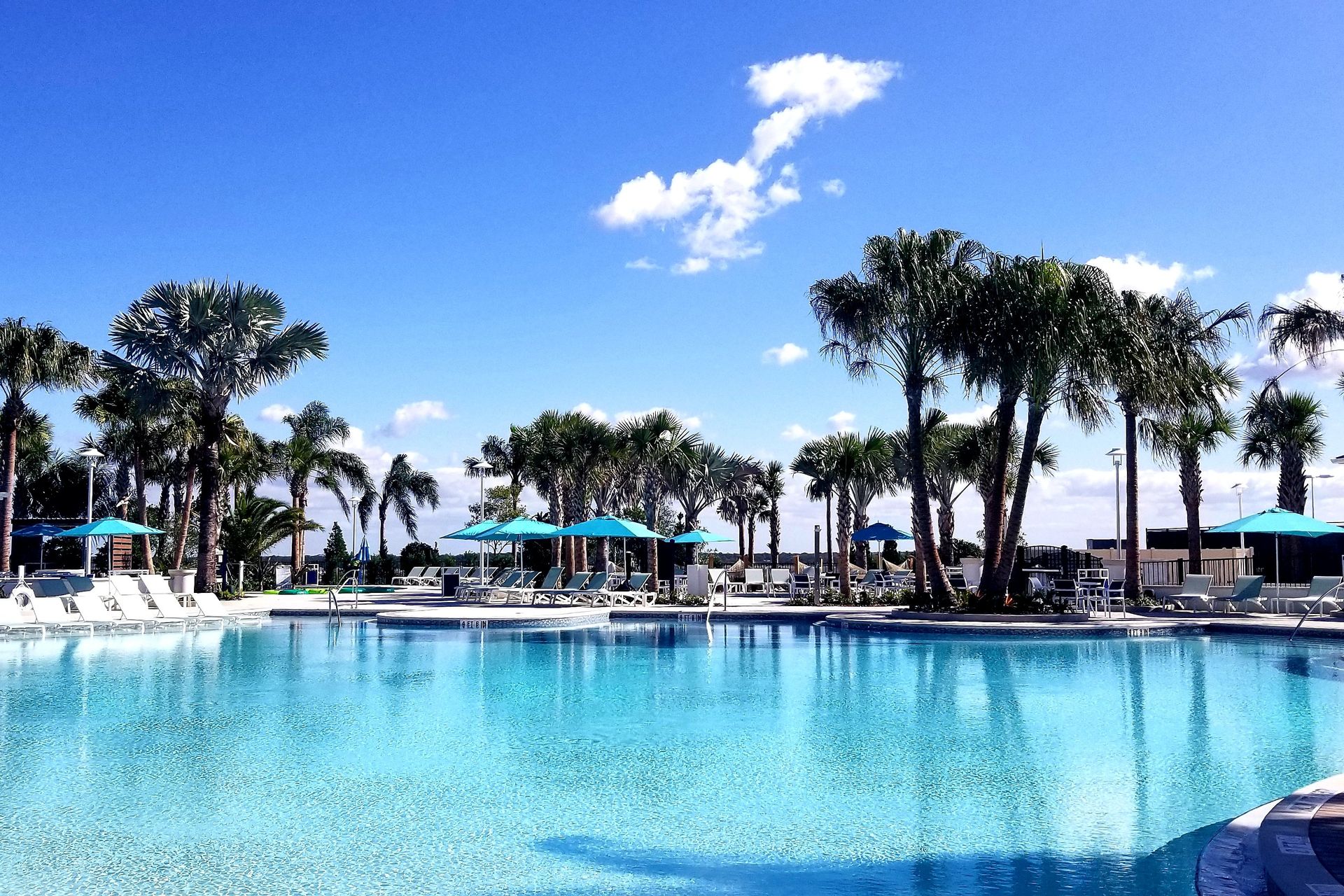 Unwind under the palms in this sparkling resort-style pool with plenty of space.