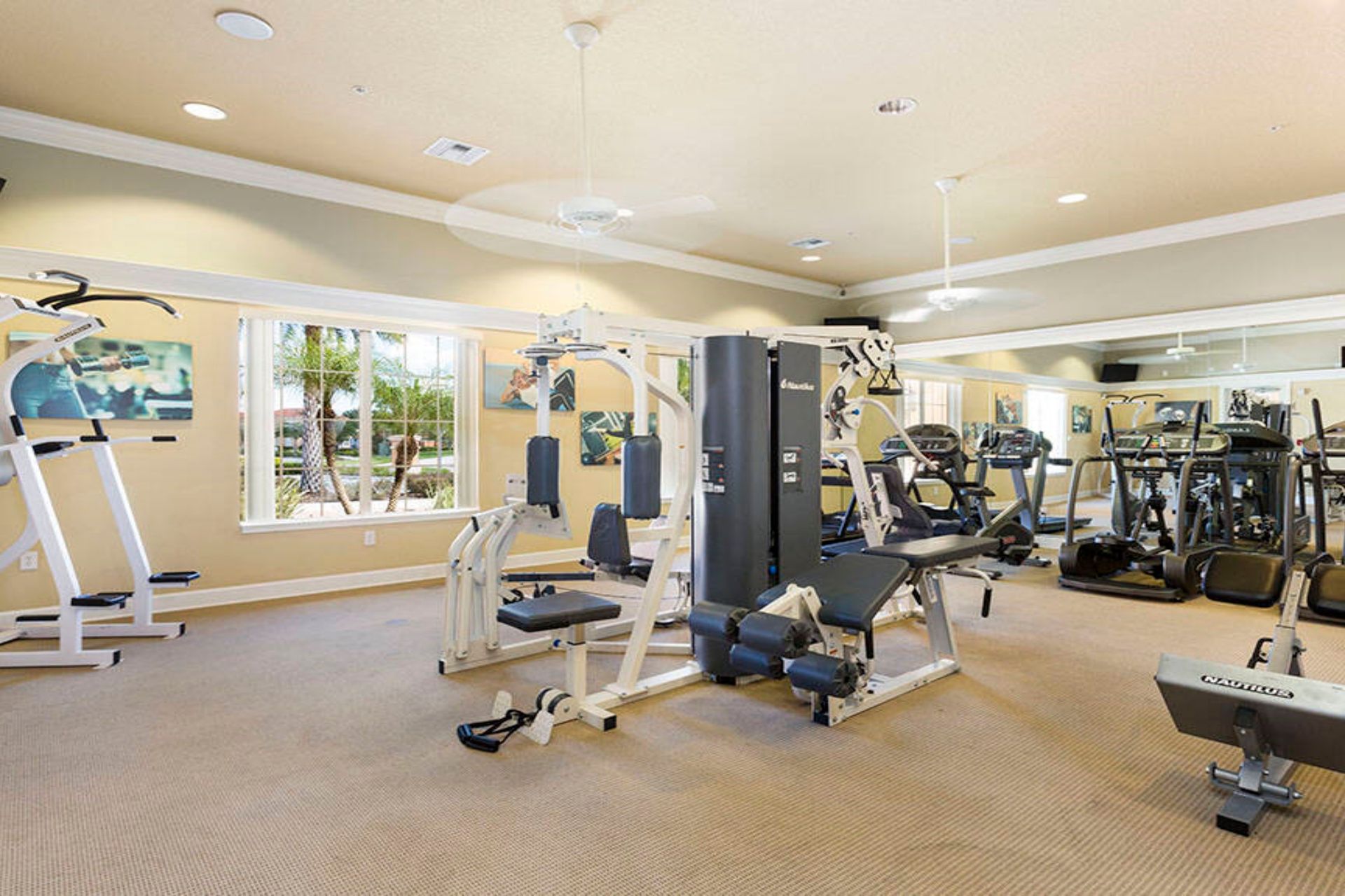 Fully equipped fitness center with modern machines and sunny views!