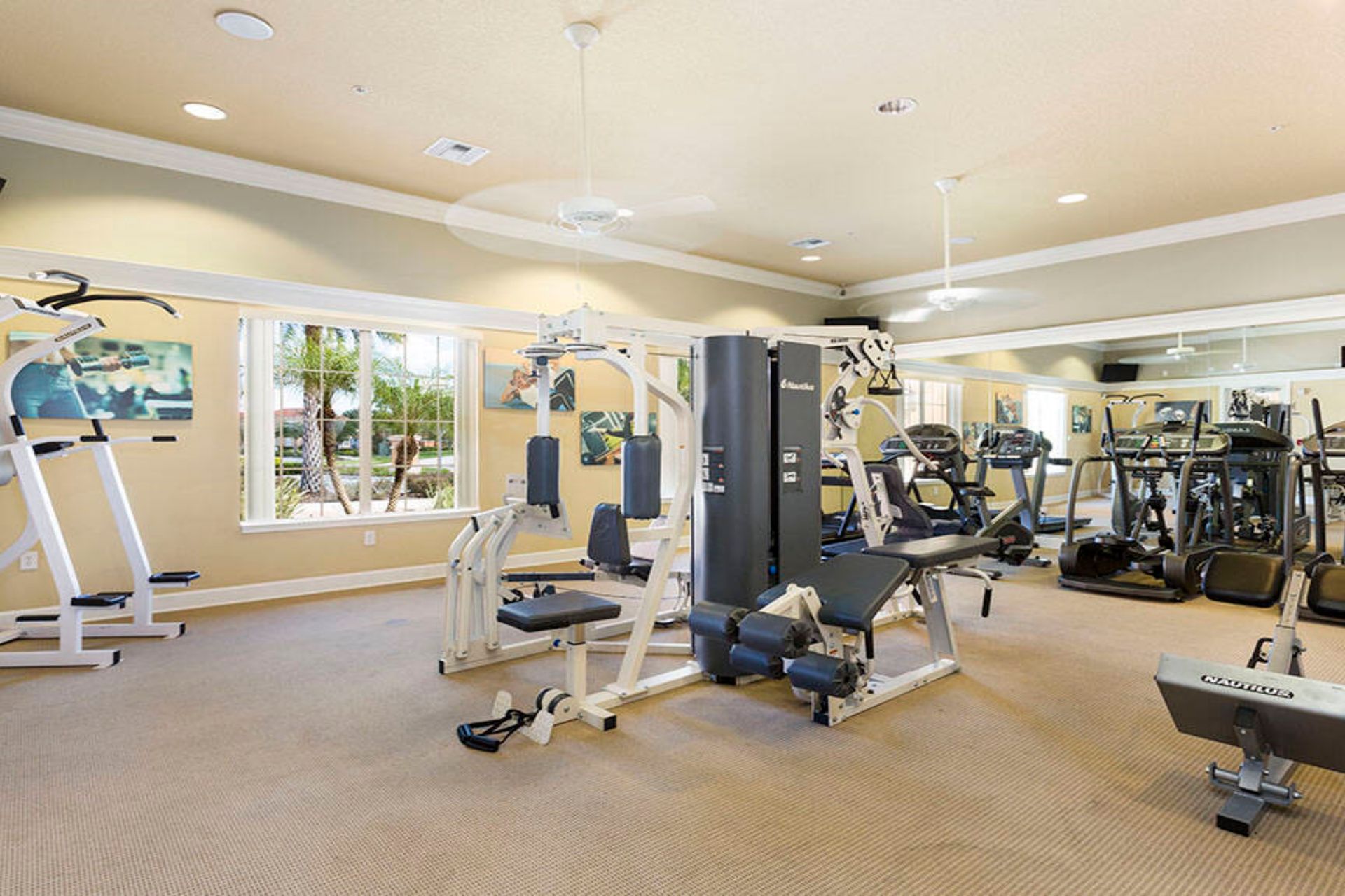Fully equipped fitness center with modern machines and sunny views!