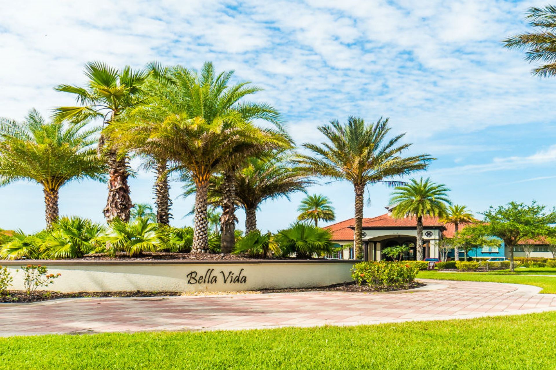 Experience Bella Vida! Tropical paradise with stunning palm views.