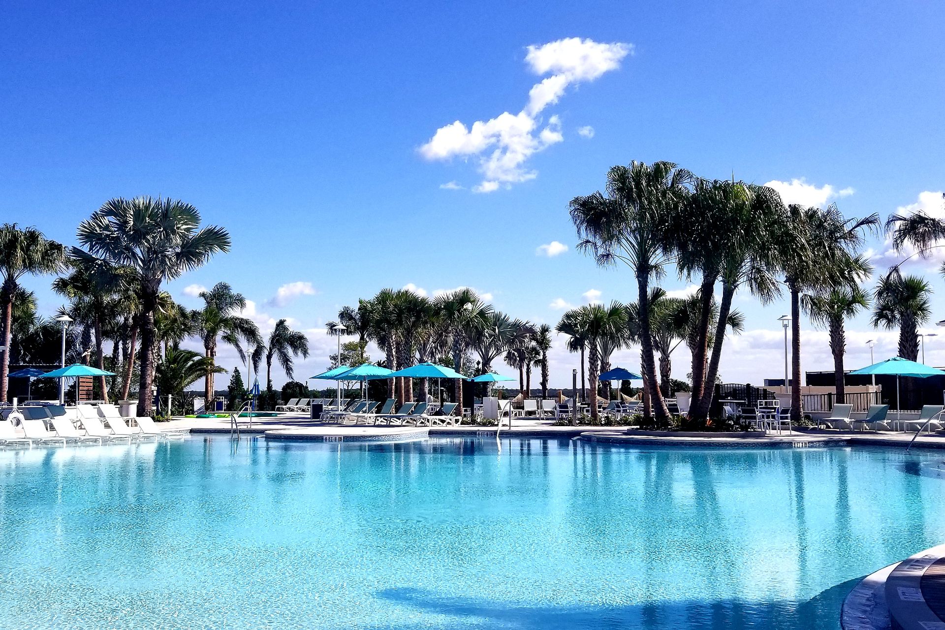 Expansive resort-style pool with stunning palm views