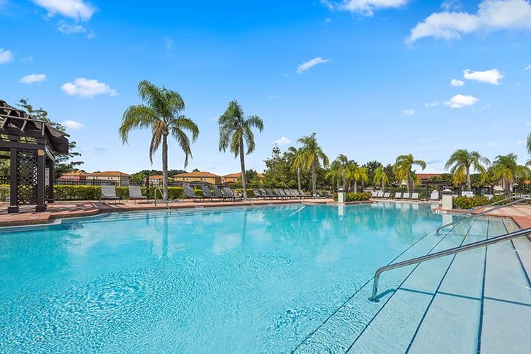 Enjoy a crystal-clear resort pool surrounded by palm trees, lounge chairs, and sunshine.