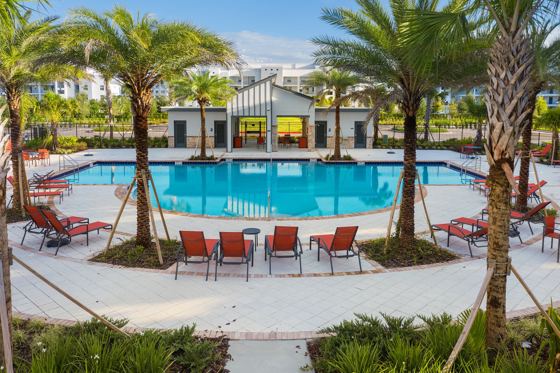 Resort Amenities - A stunning pool surrounded by swaying palm trees, creating a picturesque setting for guests to enjoy a refreshing and tranquil escape