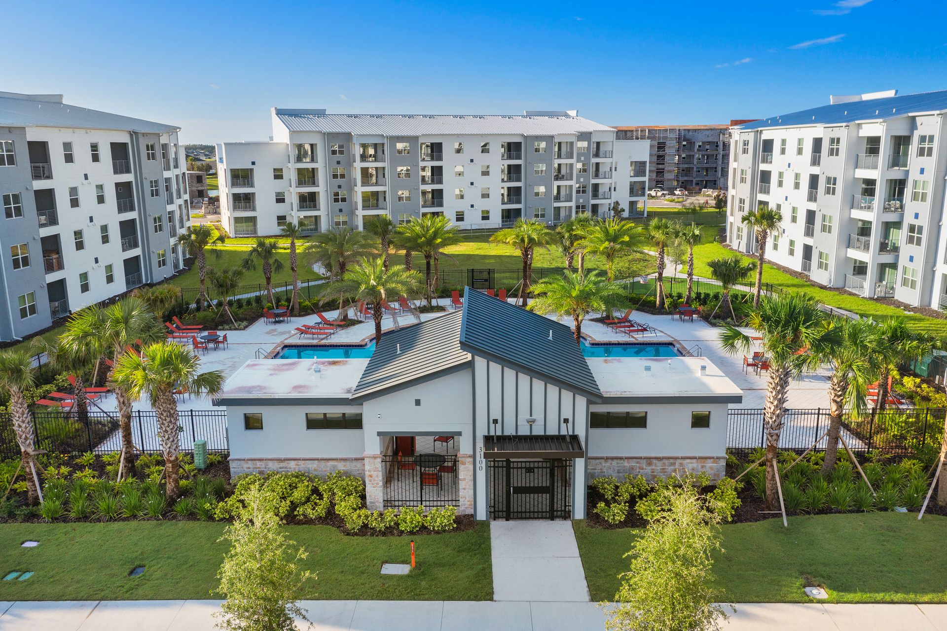 Resort Amenities - A stunning pool surrounded by swaying palm trees, creating a picturesque setting for guests to enjoy a refreshing and tranquil escape