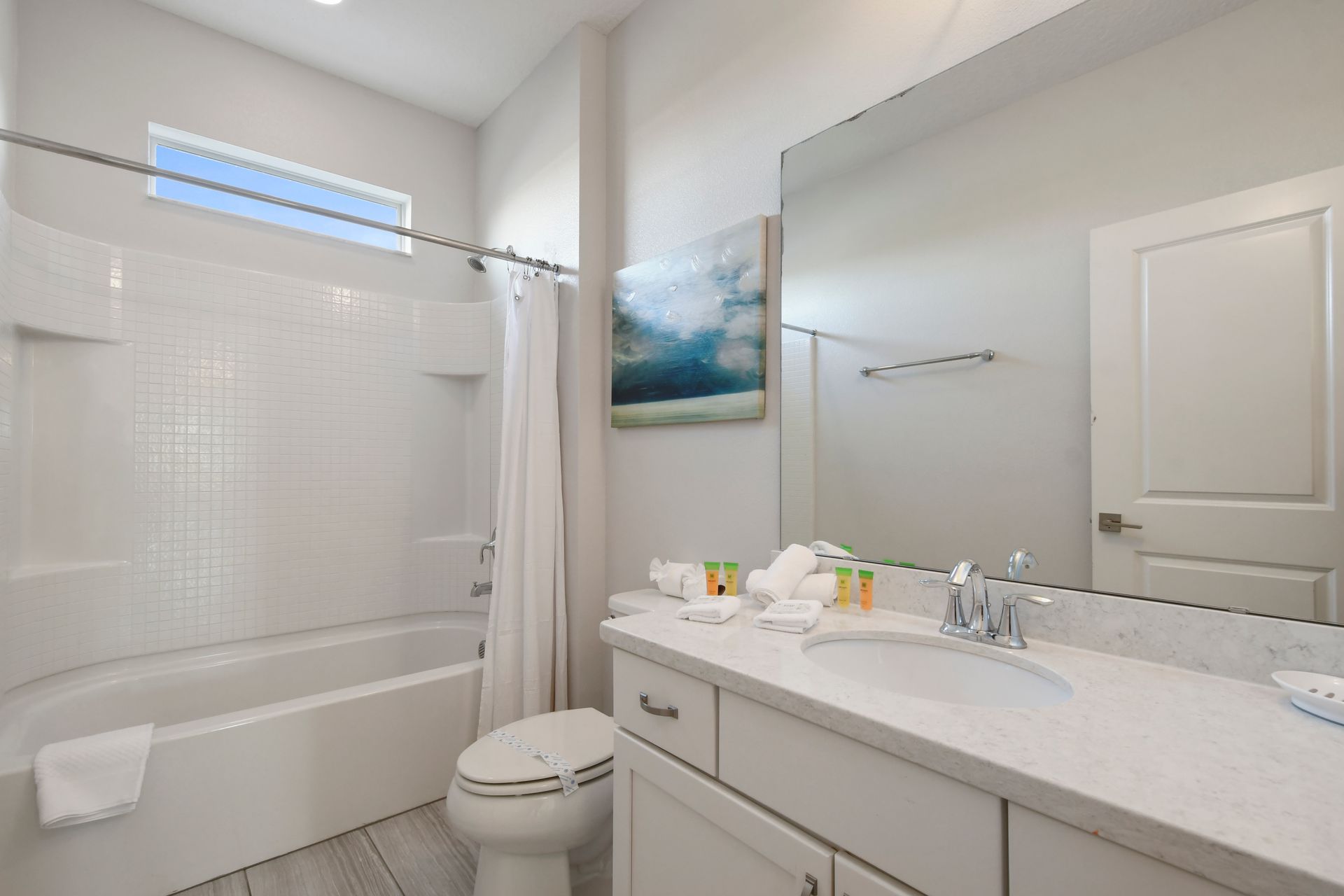 Bright bathroom with a full tub, modern vanity, and fresh décor