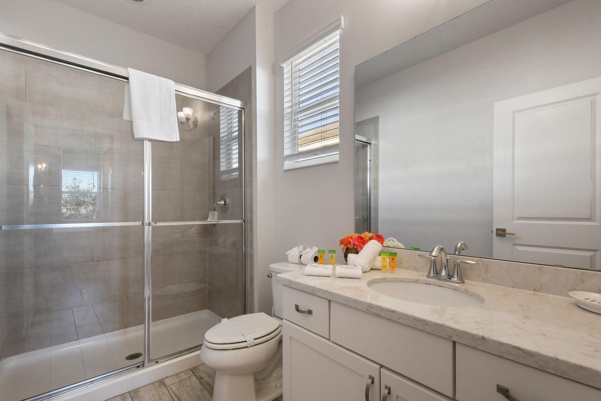 Bright bathroom with a spacious shower and marble-topped vanity.