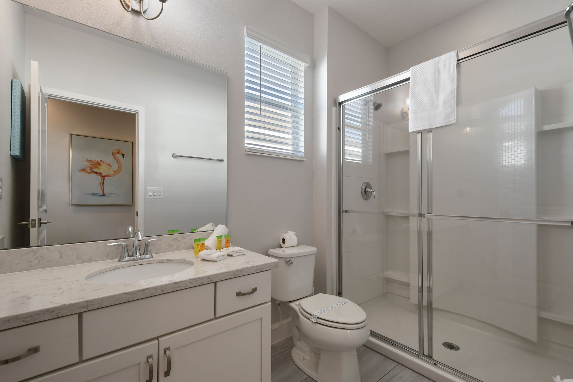 Modern bathroom with a spacious walk-in shower and natural light