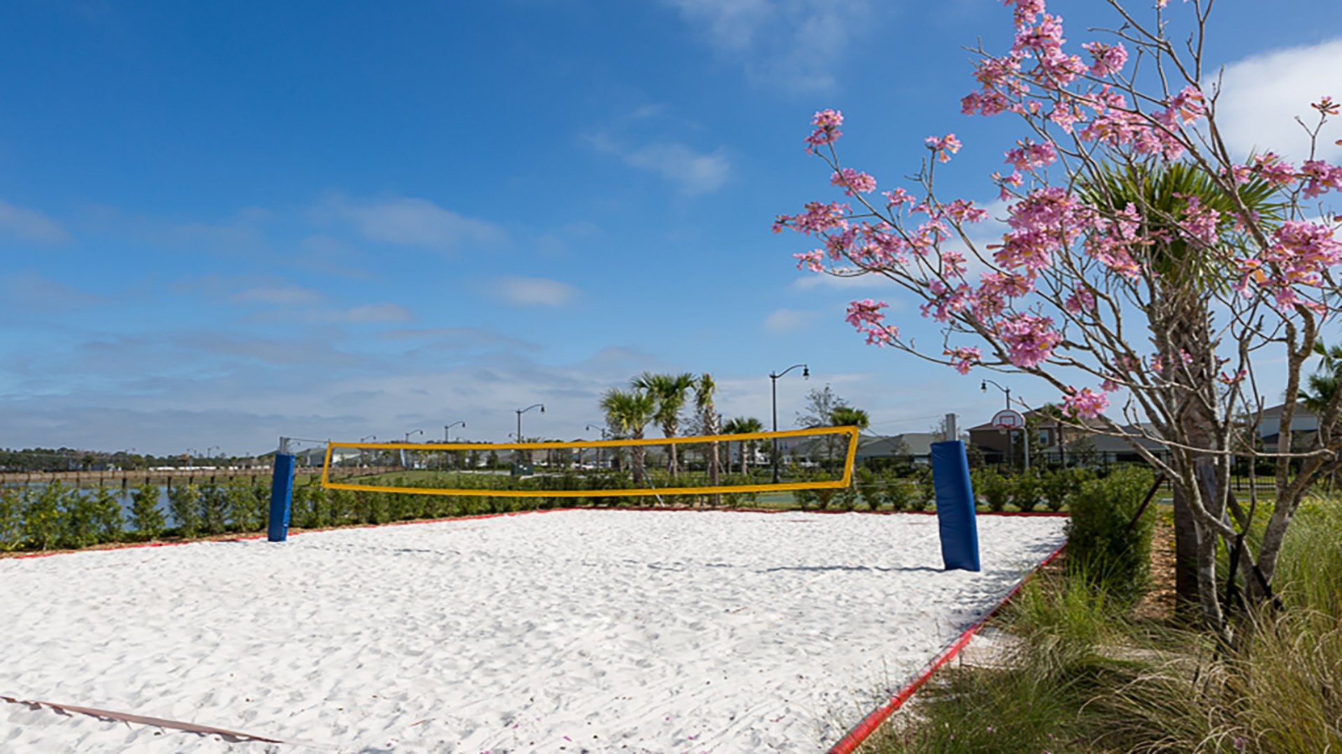 Enjoy a fun game of beach volleyball under sunny skies, surrounded by lush scenery!