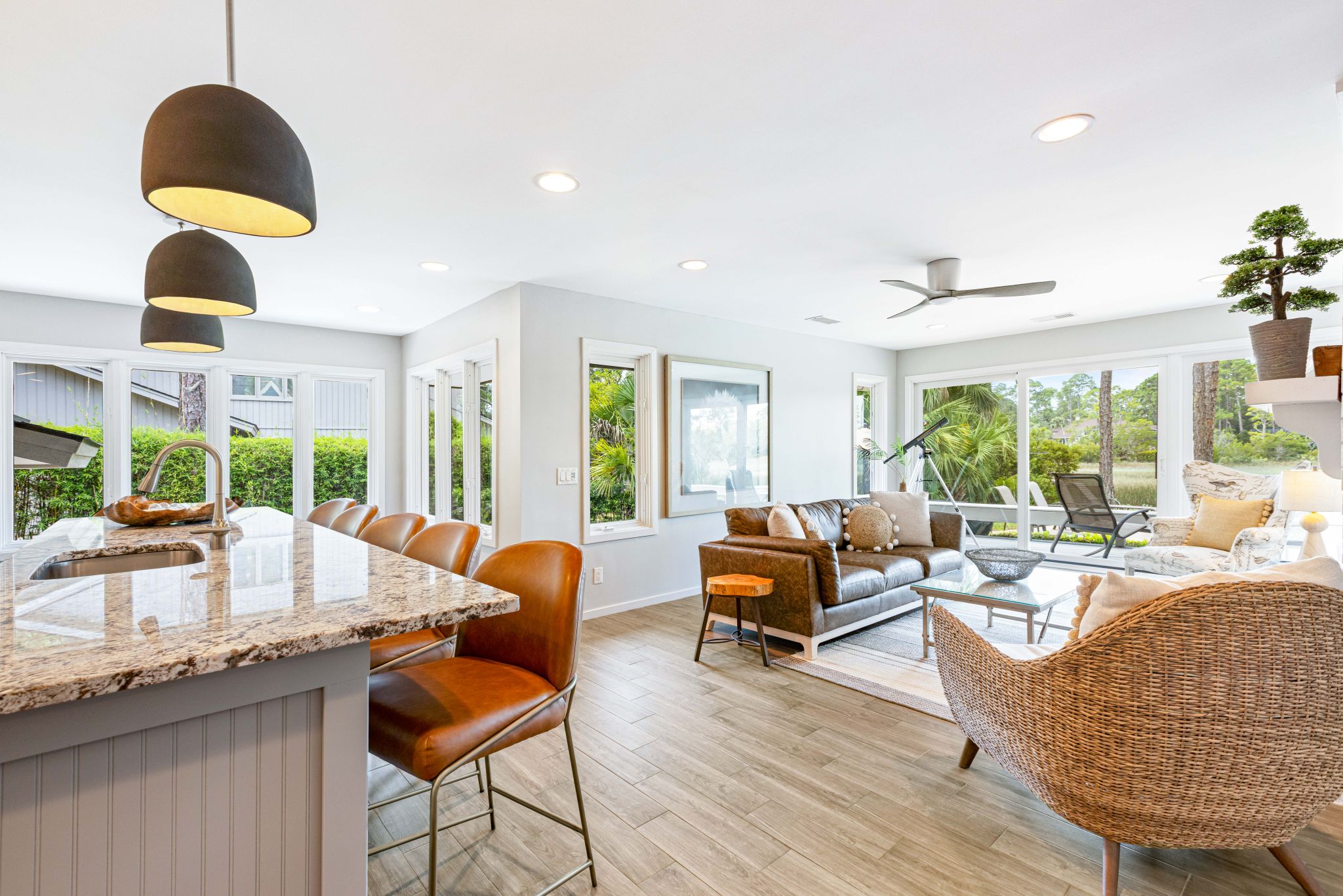 11 Black Tern: Sea Pines