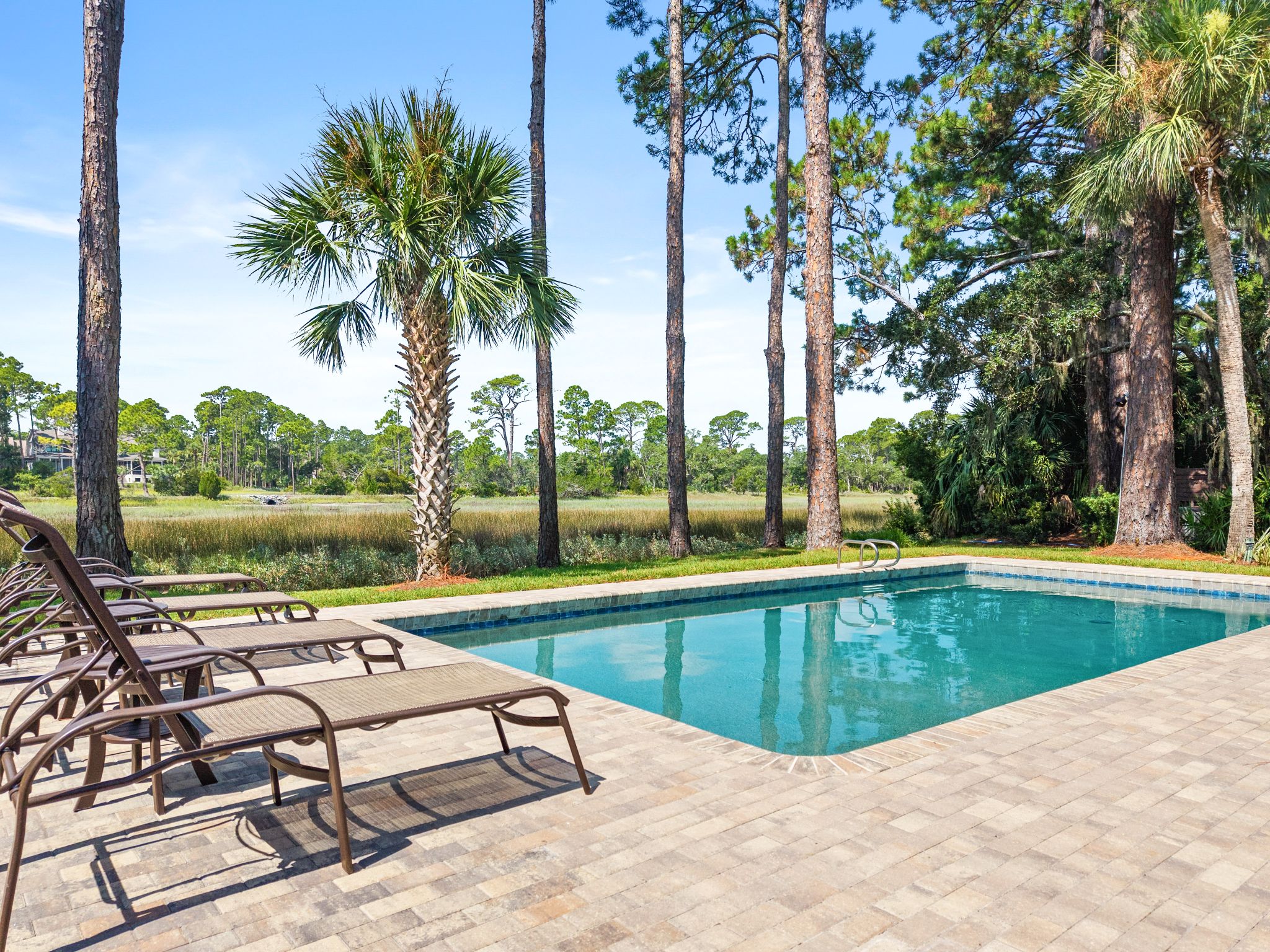 11 Black Tern: Sea Pines | Photo 2