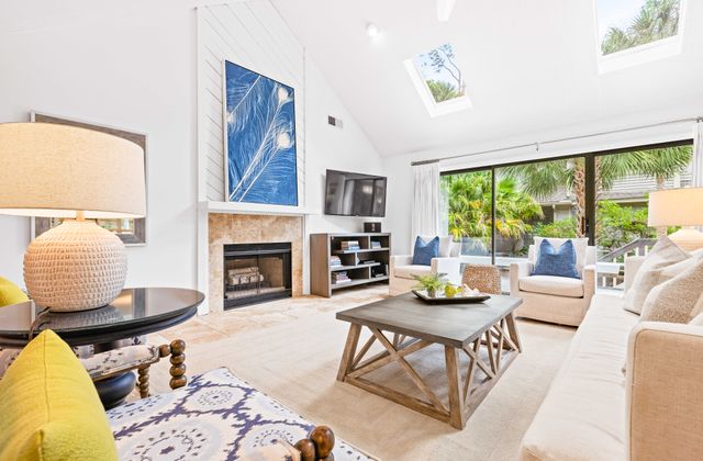 8 Laughing Gull: Sea Pines Photo