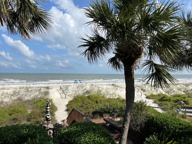 29 Turtle Lane Club: Sea Pines