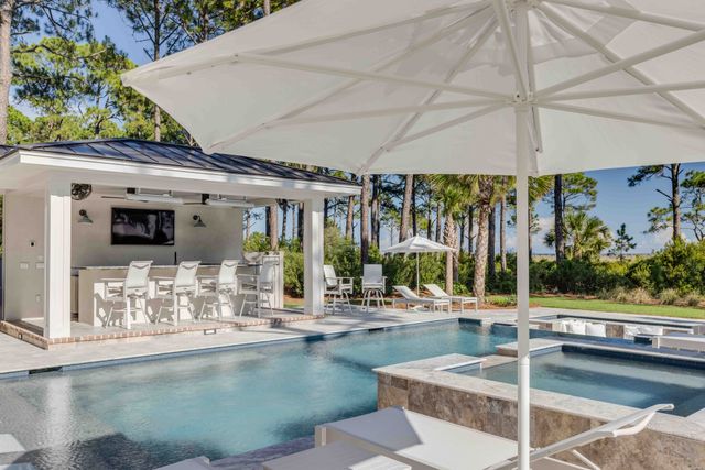 15 Bald Eagle: Sea Pines 6