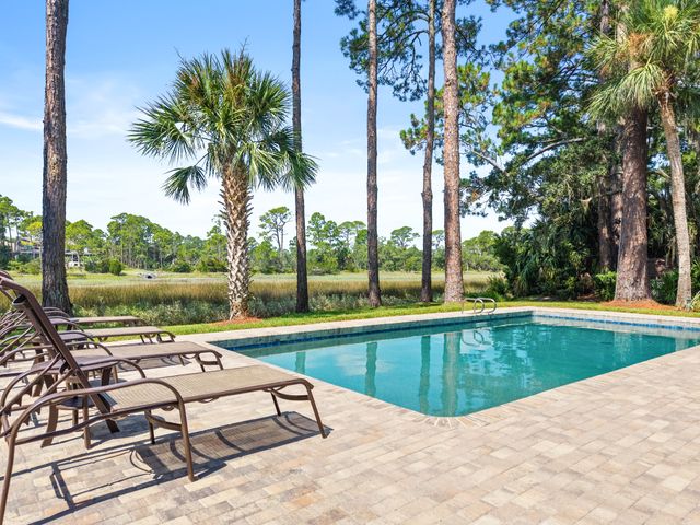 11 Black Tern: Sea Pines 2