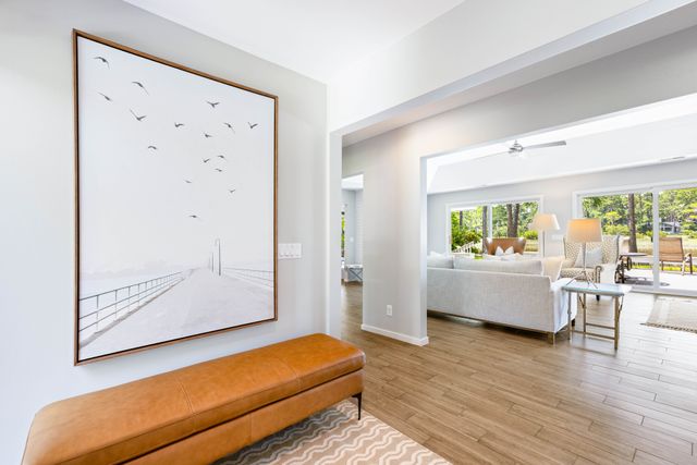 11 Black Tern: Sea Pines 6