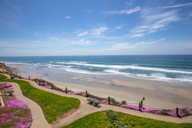 Above the Waves - SUR116 45