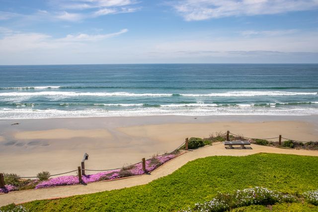 Above the Waves - SUR116 44