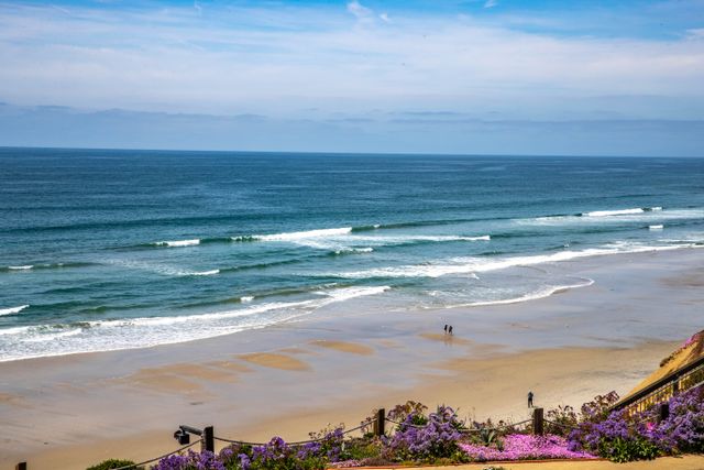Above the Waves - SUR116 50