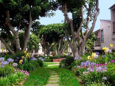 Paradise Awaits - SUR182 36