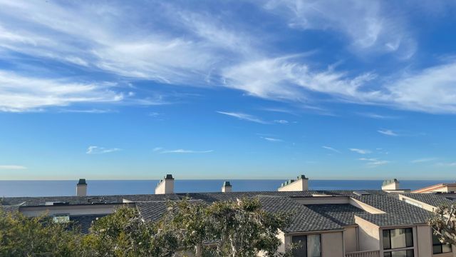 Endless Summer - SUR149 41