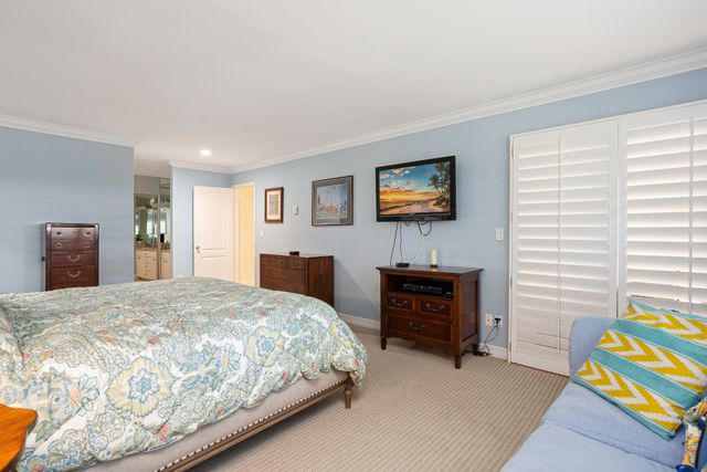 Dolphin View - SUR43 23