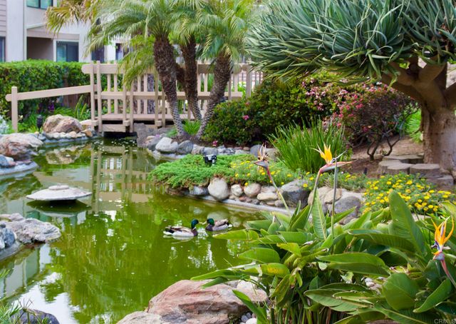 Barefoot Oasis - SUR127 47