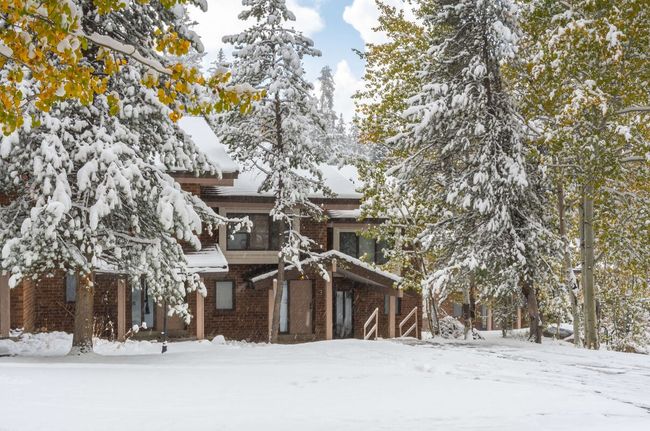Winterwood 3