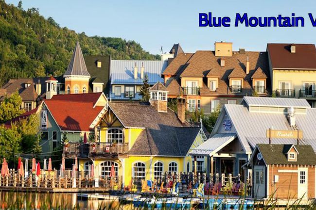 6 bedroom Chalet/Cottage with Hot Tub, Sauna, Ping Pong Table at Blue Mountain #53R 23