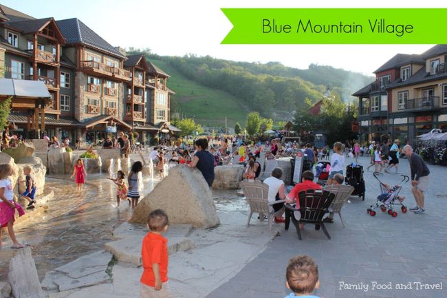 8 bedroom Stand Alone Chalet/Cottage with Hot Tub, sauna, Ping Pong Table at Blue Mountain #54 32