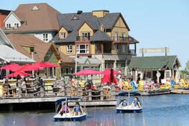 8 bedroom Stand Alone Chalet/Cottage with Hot Tub, sauna, Ping Pong Table at Blue Mountain #54 30