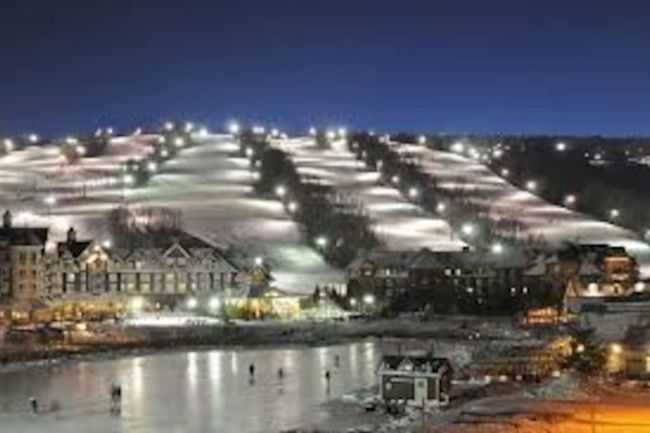 8 bedroom Stand Alone Chalet/Cottage with Hot Tub, sauna, Ping Pong Table at Blue Mountain #54 27