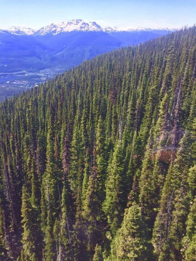 Heart of the Village - Luxury 1 Bedroom + loft 24